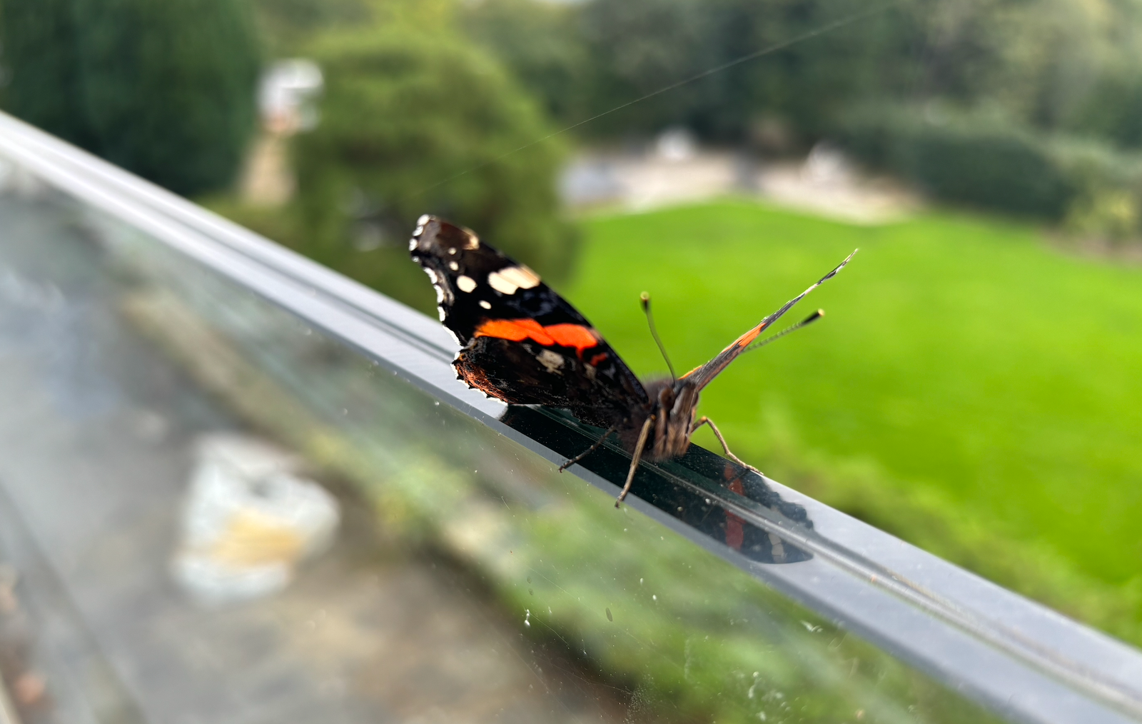 Glass balustrade glass panels for frameless and post systems